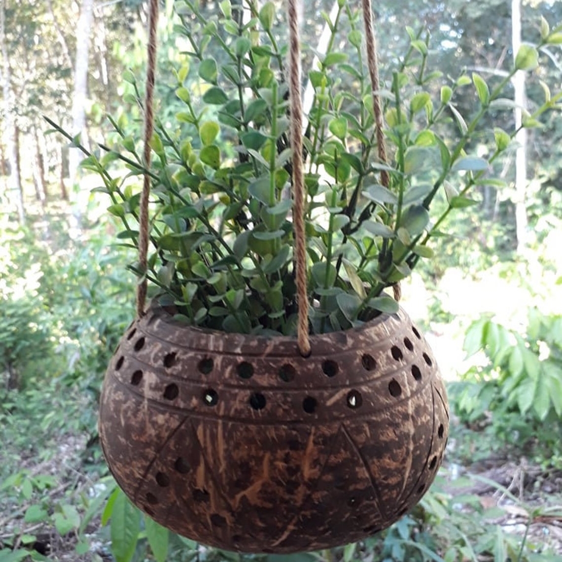 Hanging Coconut Shell Flower Pot